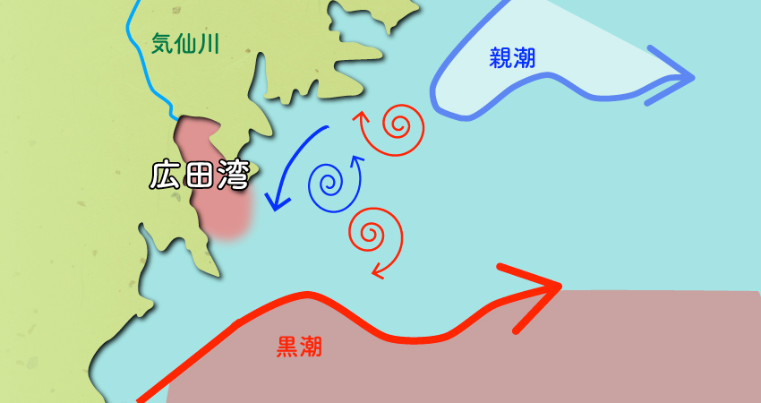 広田湾