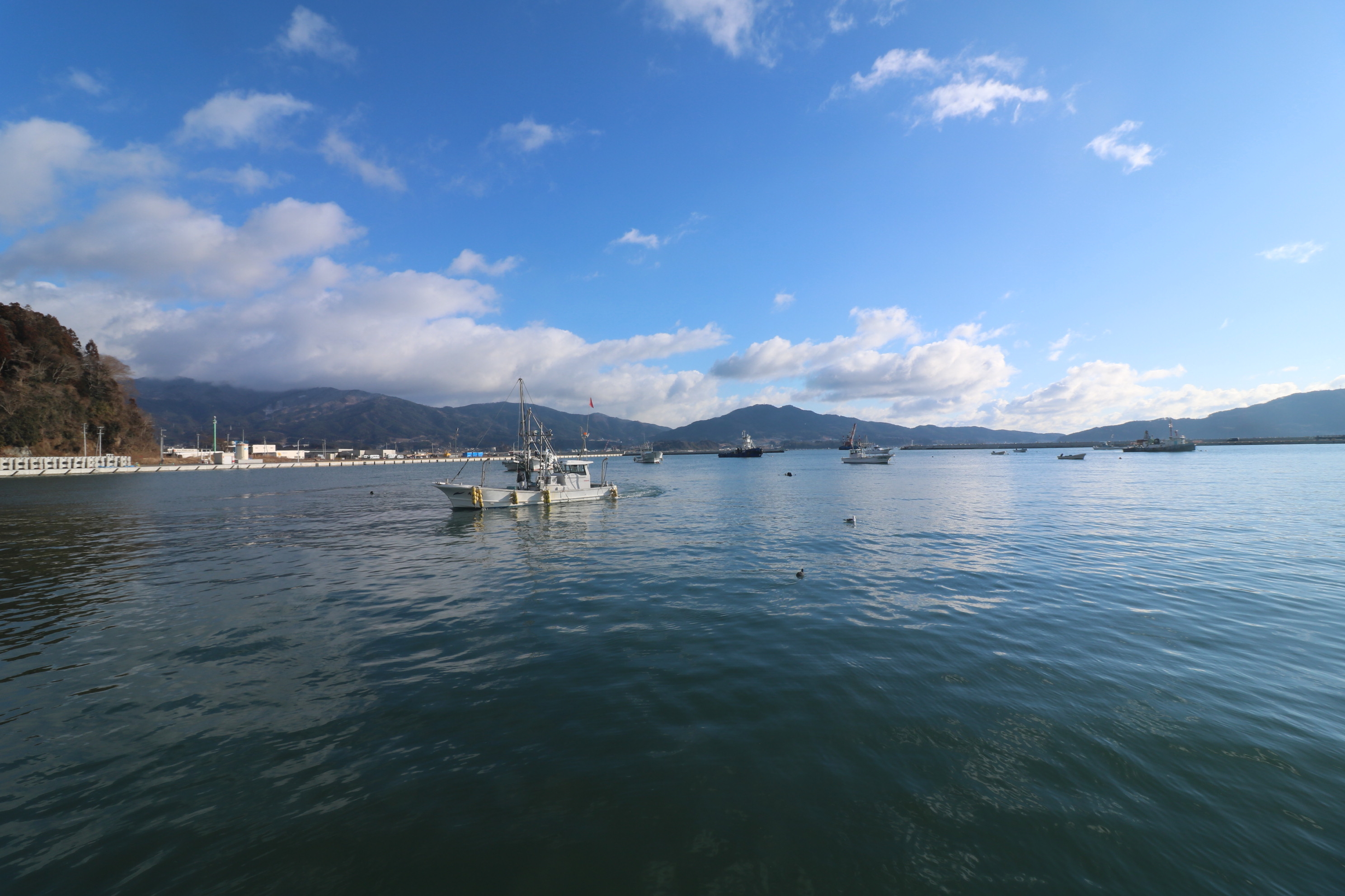 広田湾