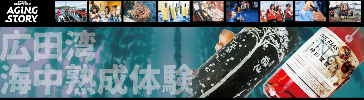 海中熟成体験
